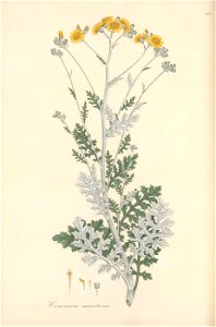 n203_w1150