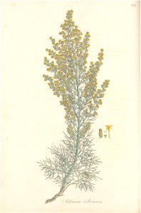 n161_w1150