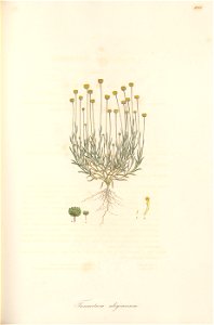 n158_w1150