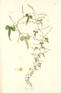n172_w1150