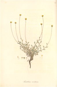 n149_w1150