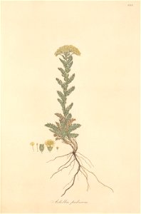 n268_w1150
