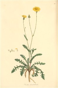 n255_w1150
