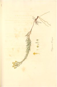 n140_w1150