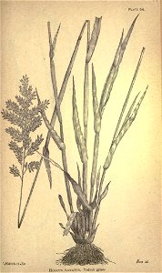 n256_w1150