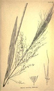 n194_w1150