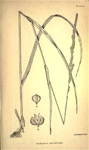 n164_w1150