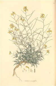 n115_w1150