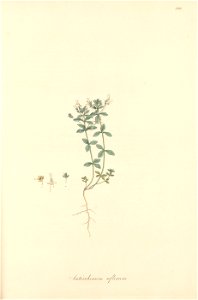 n266_w1150