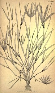 n278_w1150