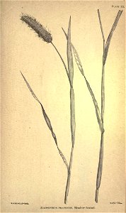n218_w1150