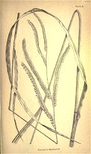 n158_w1150