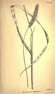 n188_w1150