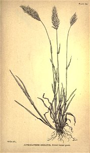 n216_w1150