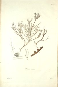 n56_w1150