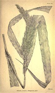 n186_w1150