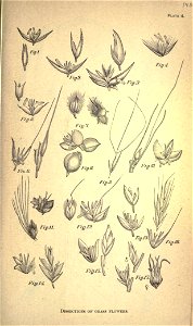 n156_w1150