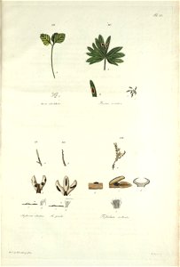 n123_w1150