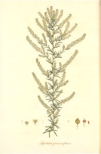n57_w1150