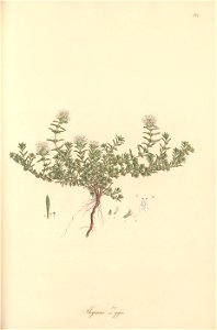 n214_w1150