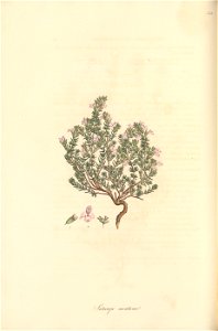n127_w1150