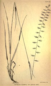 n274_w1150