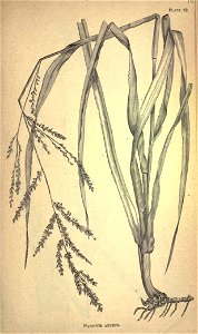 n184_w1150