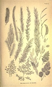 n154_w1150