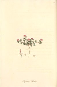 n129_w1150