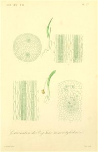 n118_w1150