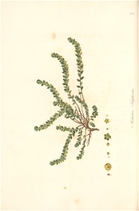 n157_w1150