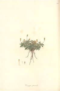 n181_w1150