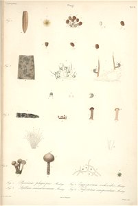 n12_w1150