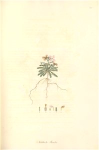 n118_w1150