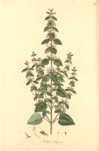 n227_w1150