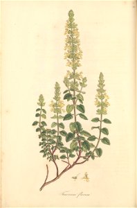 n99_w1150