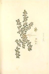 n206_w1150