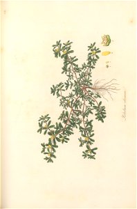 n164_w1150