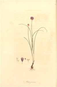 n69_w1150