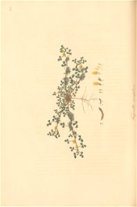 n183_w1150