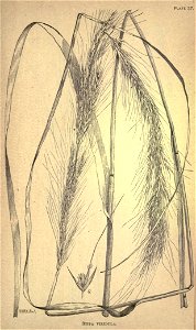 n222_w1150