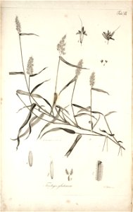 n61_w1150