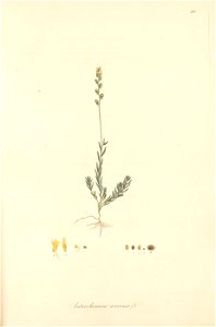 n258_w1150