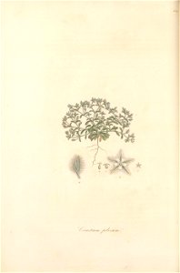n155_w1150