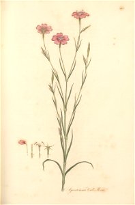n152_w1150