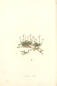 n109_w1150