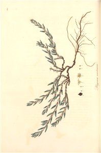 n187_w1150