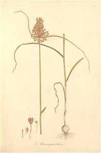 n58_w1150