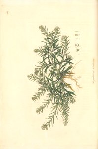 n101_w1150