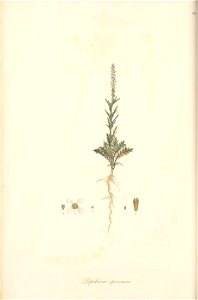 n55_w1150